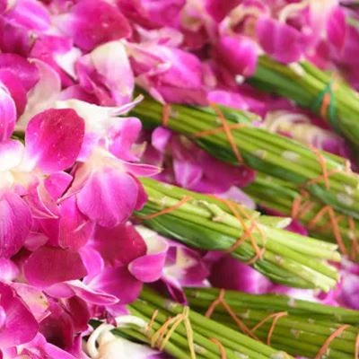 Bandos de borracha floral