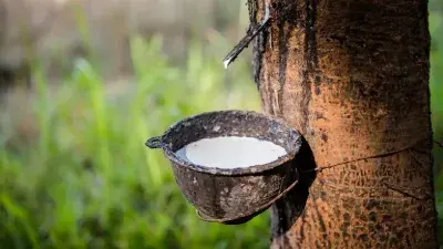O que o aumento dos preços da borracha natural significa para nossa fábrica?