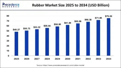 O plano de crescimento do mercado global de elásticos e nossas oportunidades