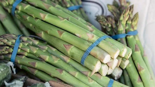 rubber bands for vegetables rubber bands for vegetables