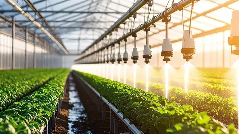Agricultural greenhouse operations Agricultural greenhouse operations